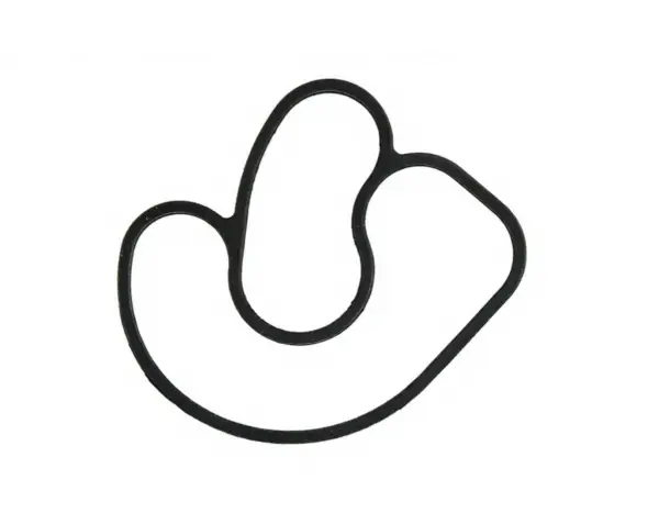 GASKET
