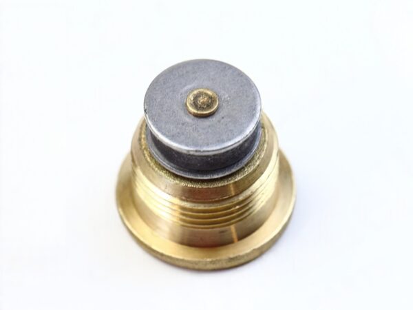 MAGNETIC THREADED PLUG M22 X 1.5