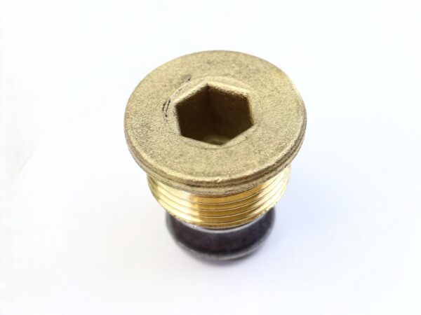 ⁦MAGNETIC THREADED PLUG M22 X 1.5⁩ - الصورة ⁦2⁩